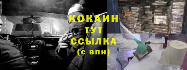 твердый Магас