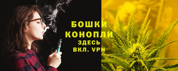 твердый Майский