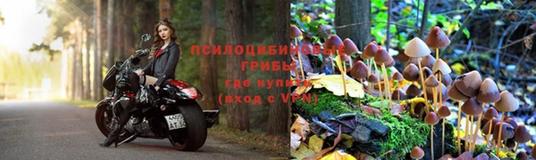 2c-b Медвежьегорск