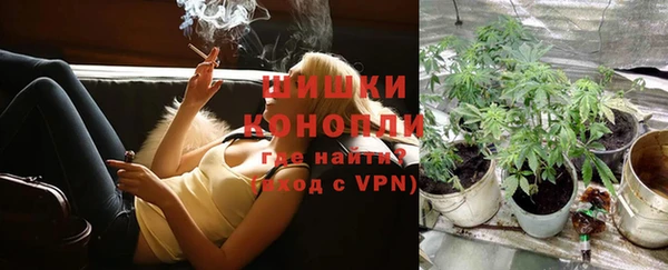 твердый Майский